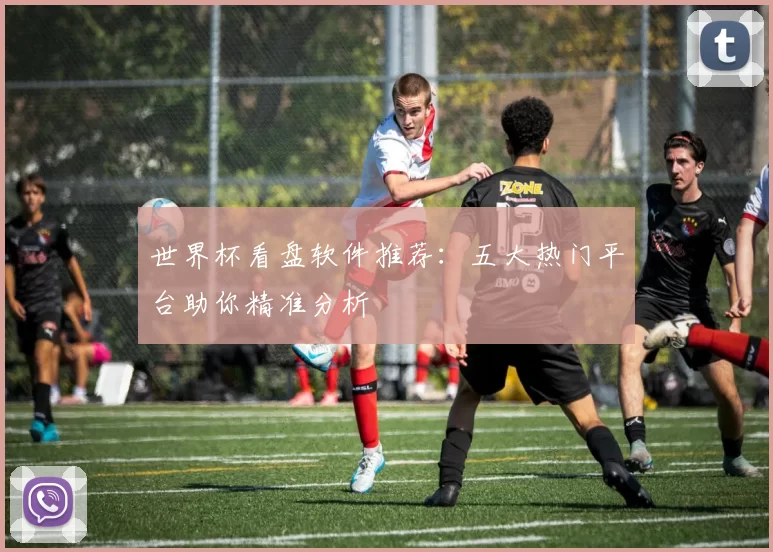 世界杯看盘软件推荐:五大热门平台助你精准分析