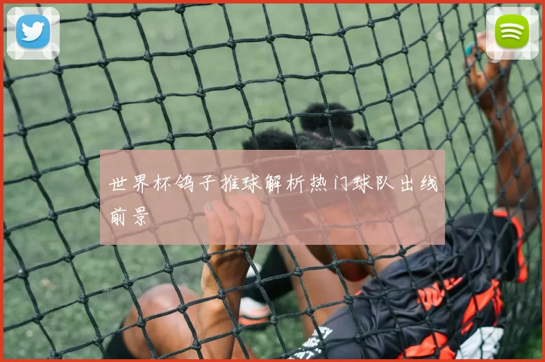 世界杯鸽子推球解析热门球队出线前景