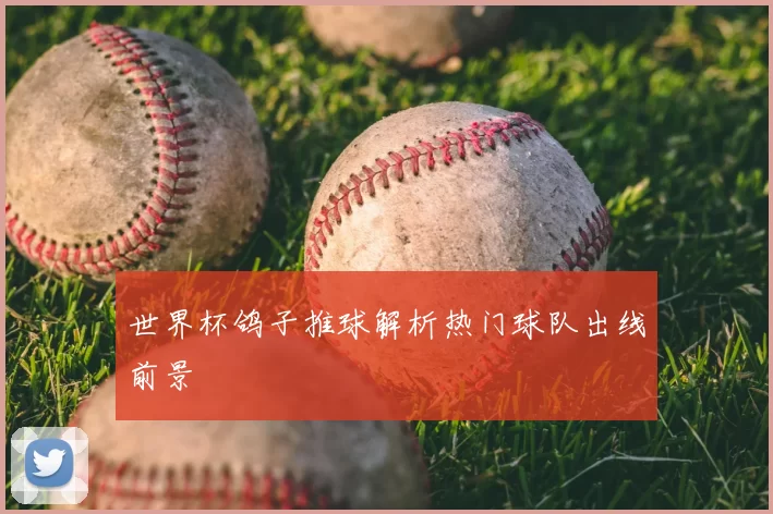 世界杯鸽子推球解析热门球队出线前景