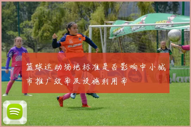篮球运动场地标准是否影响中小城市推广效率及设施利用率