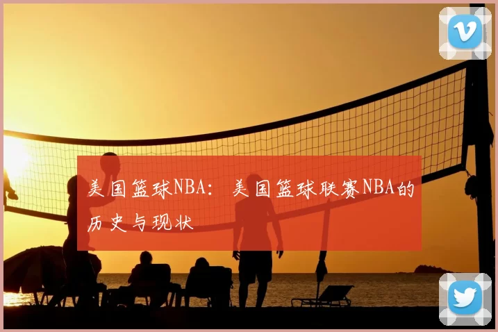 美国篮球NBA:美国篮球联赛NBA的历史与现状