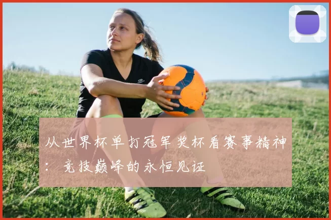 从世界杯单打冠军奖杯看赛事精神:竞技巅峰的永恒见证