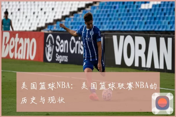 美国篮球NBA:美国篮球联赛NBA的历史与现状