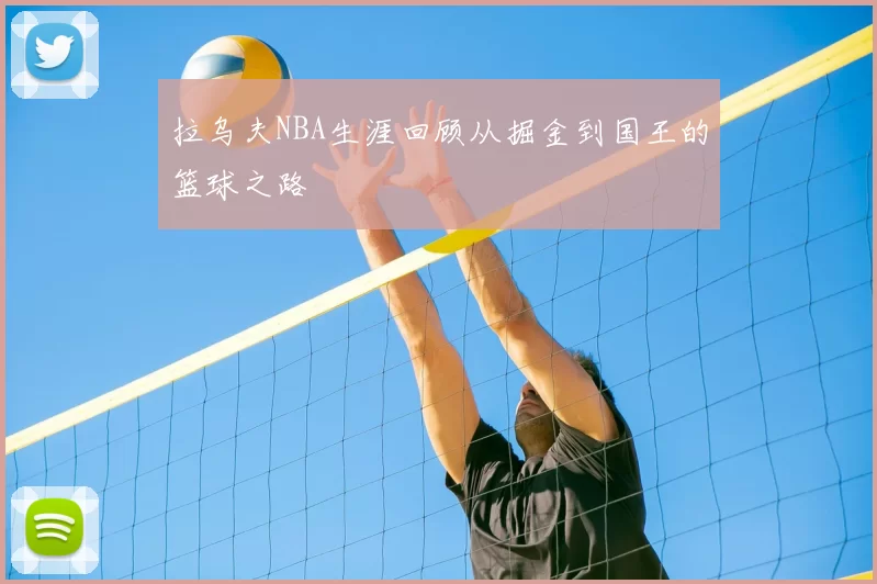 拉乌夫NBA生涯回顾从掘金到国王的篮球之路