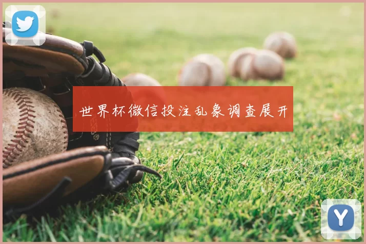 世界杯微信投注乱象调查展开