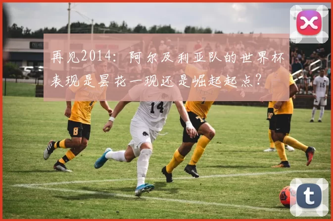 再见2014:阿尔及利亚队的世界杯表现是昙花一现还是崛起起点?