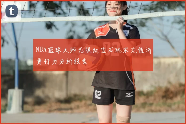 NBA篮球大师无限红宝石玩家充值消费行为分析报告