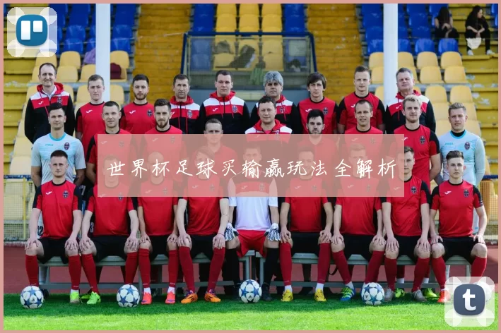 世界杯足球买输赢玩法全解析