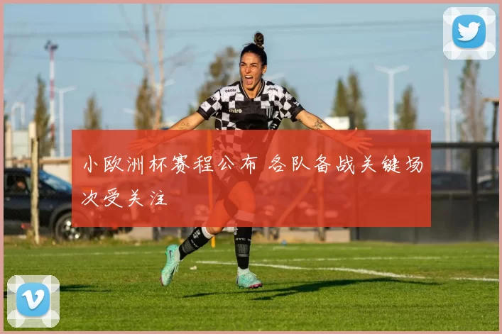 小欧洲杯赛程公布 各队备战关键场次受关注