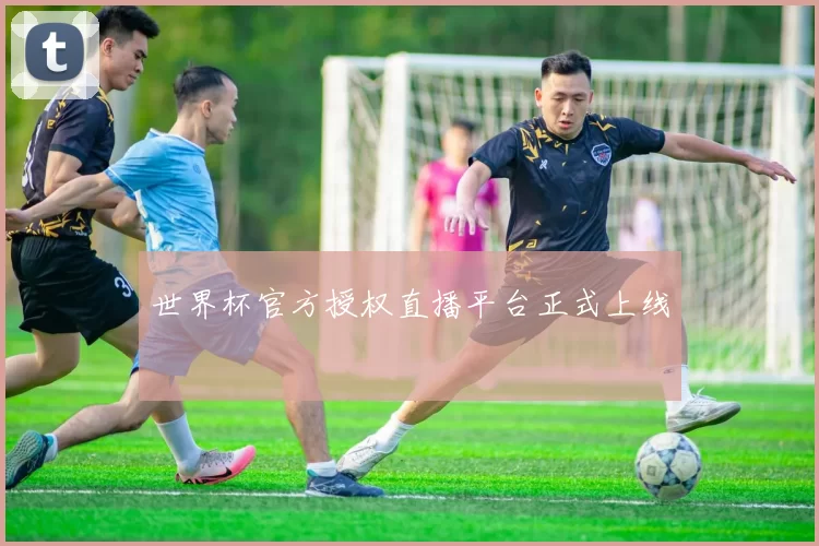 世界杯官方授权直播平台正式上线