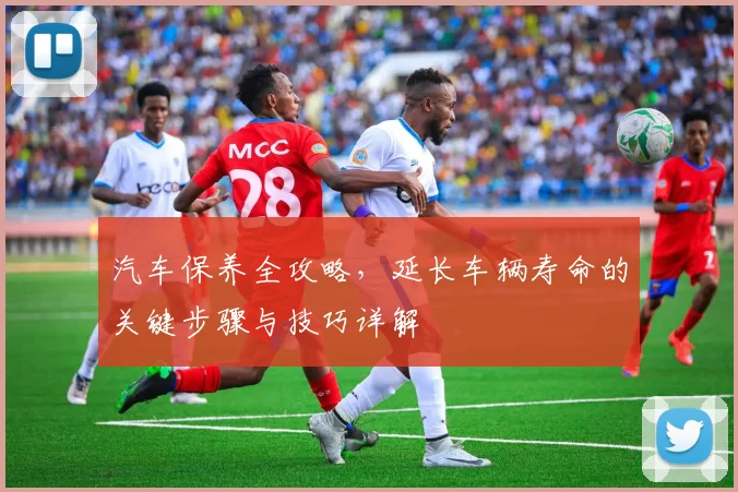 汽车保养全攻略,延长车辆寿命的关键步骤与技巧详解