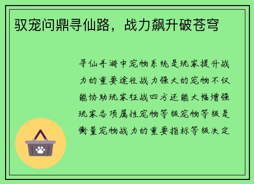 驭宠问鼎寻仙路，战力飙升破苍穹